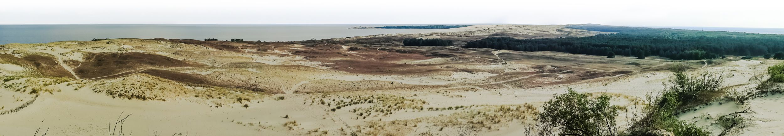 View from Parnidis dune in Nida, Lithuania 2020
