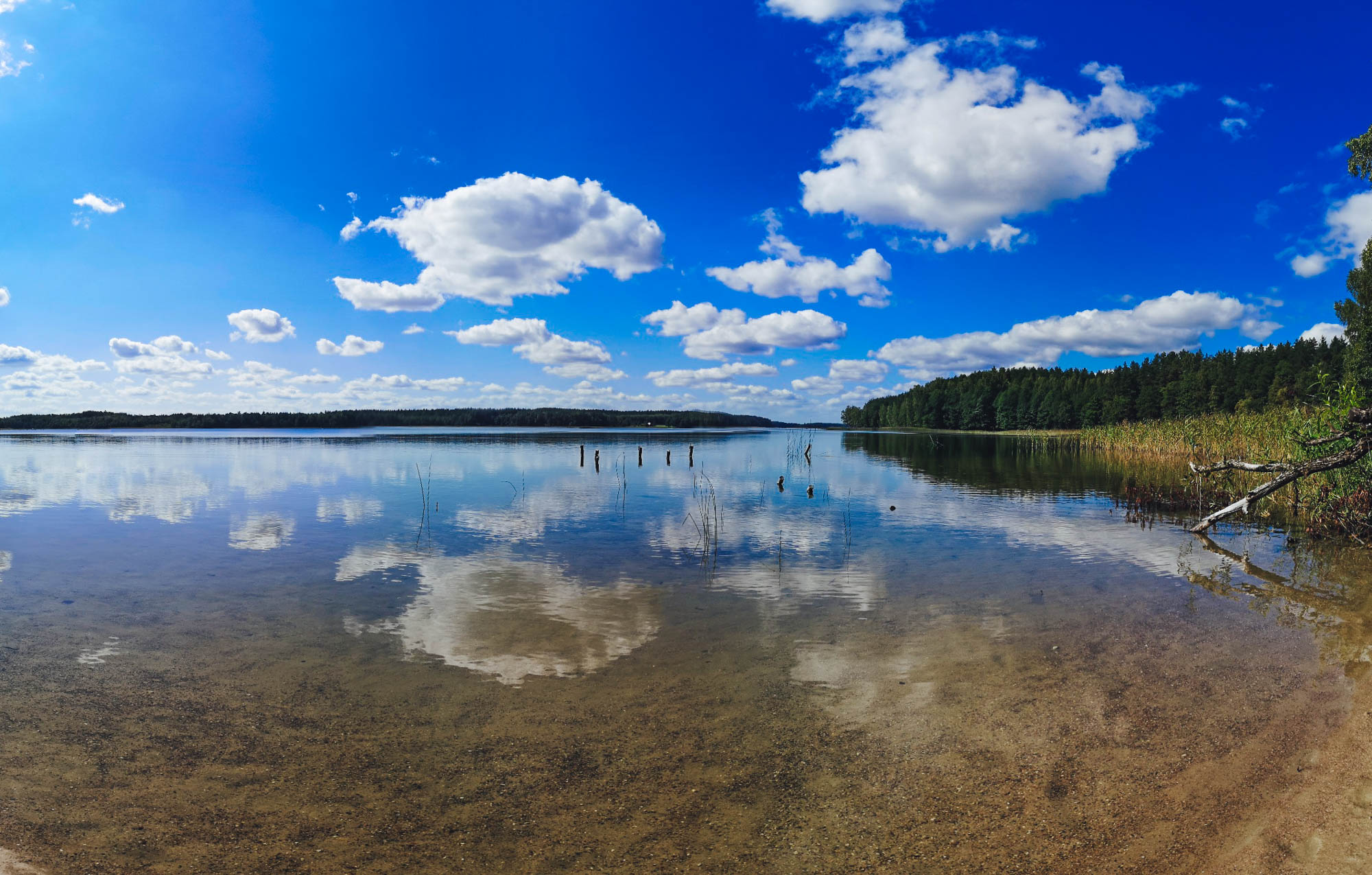 White Lakajai lake in Labanoras Regional Park, Lithuania