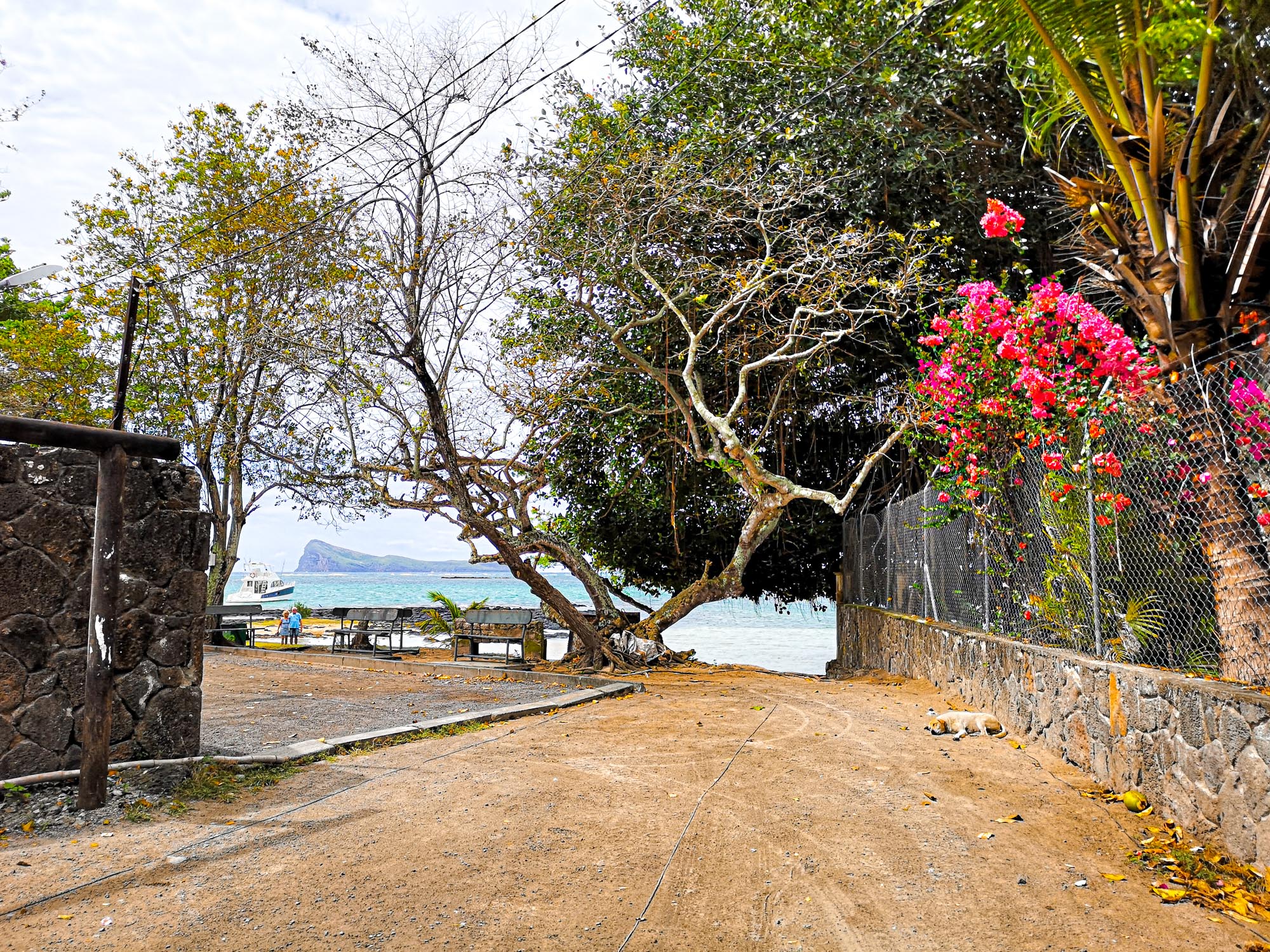North Mauritius nature