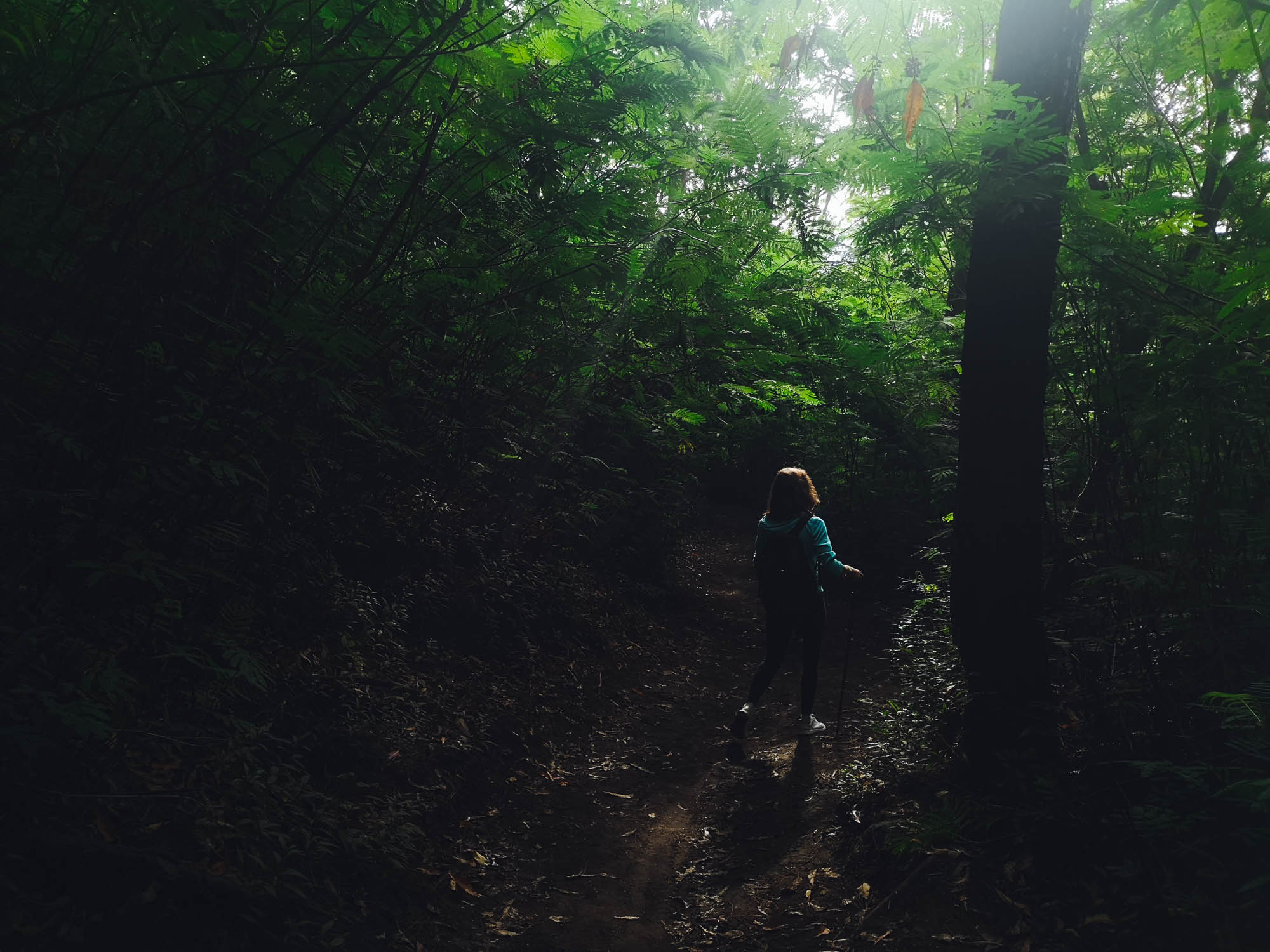 Walking trhough jungle to Mount Batur, Bali