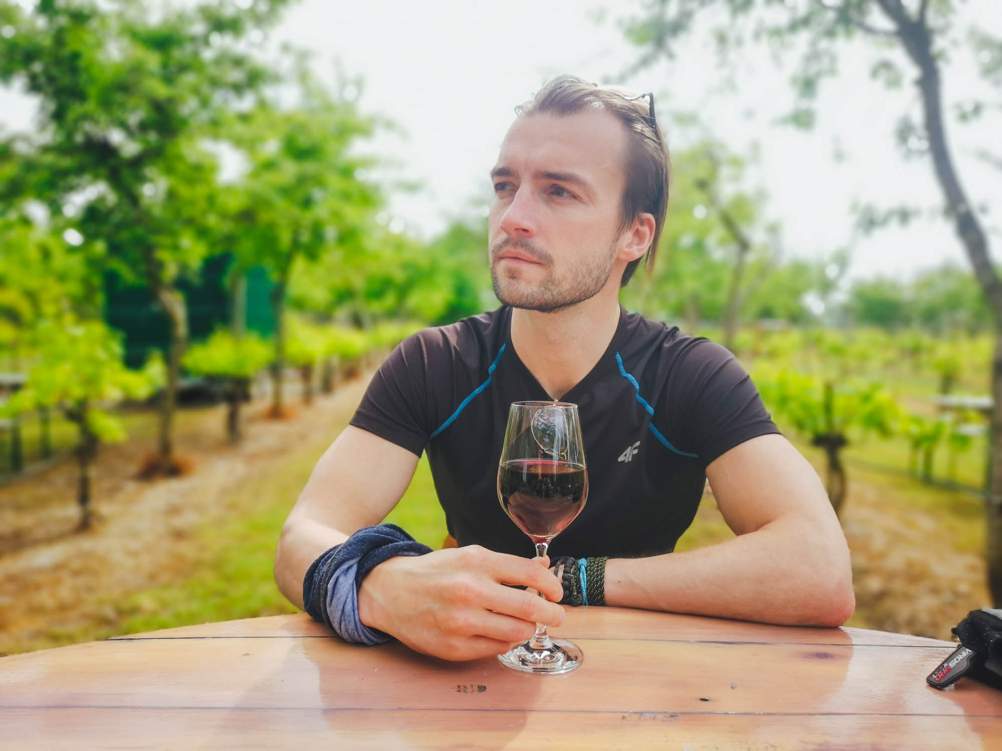 Drinking red wine in vineyards of Burgenland, Austria