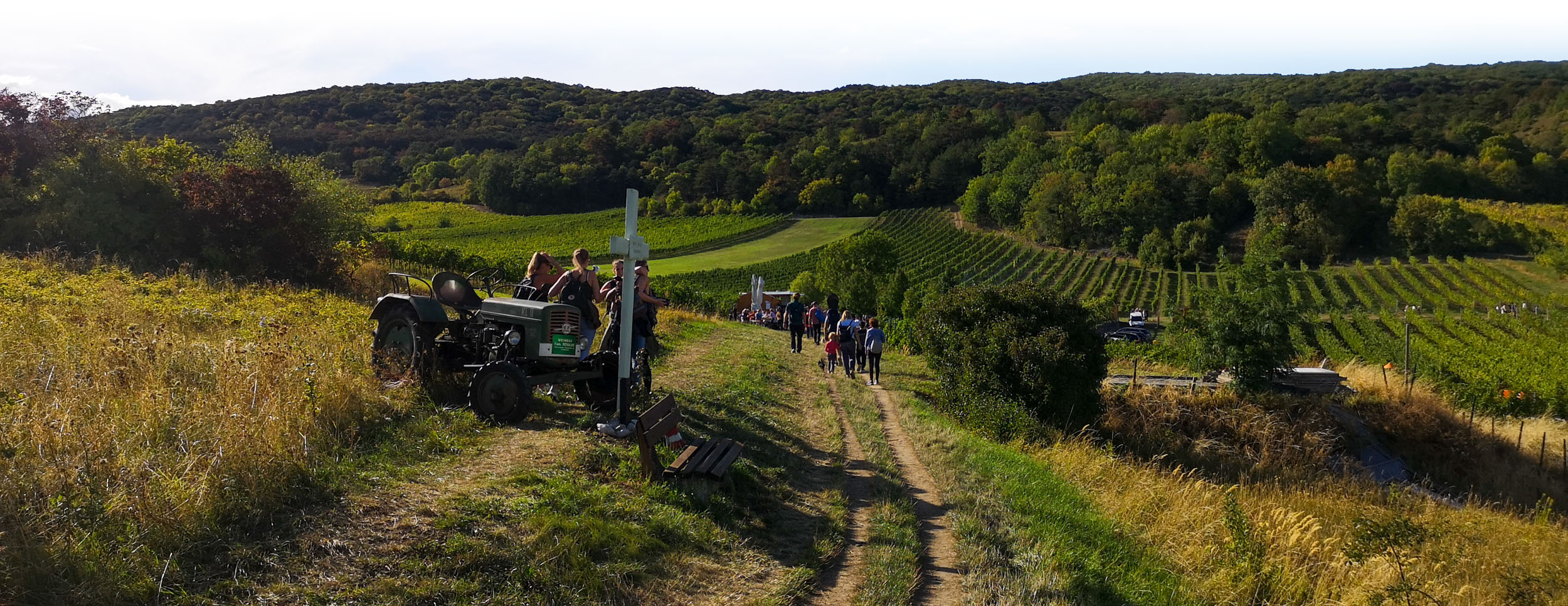 Tractor in vineyards of Thermeregion, Austria