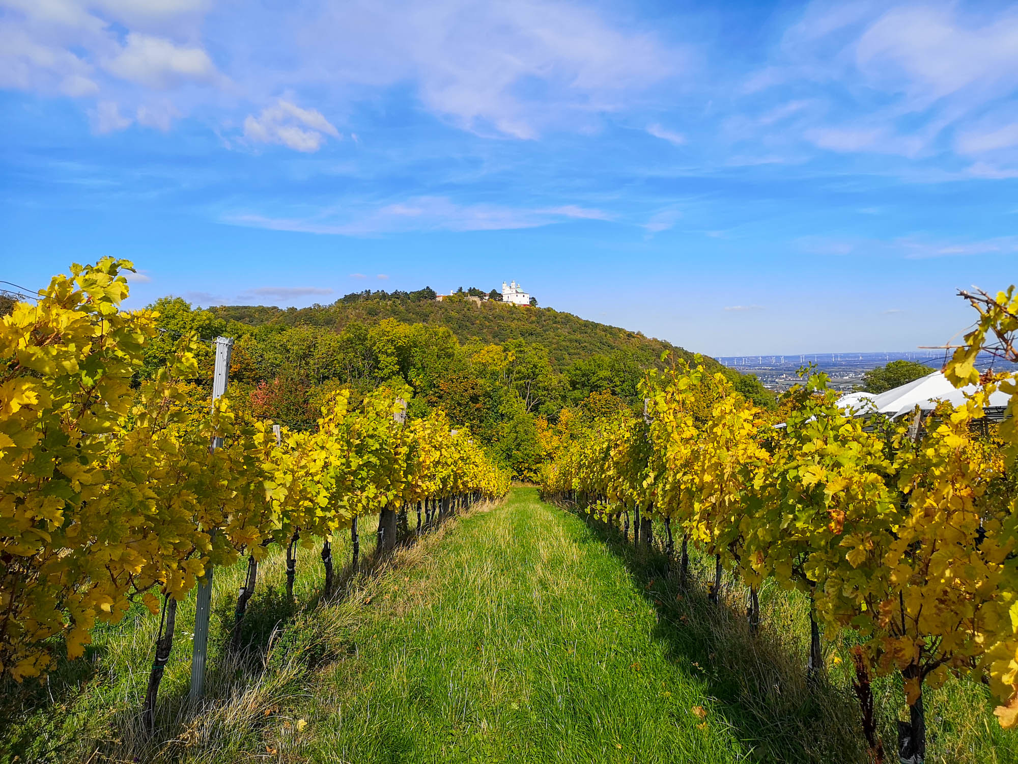 Leopoldberg and Vienna vineyards, Austria