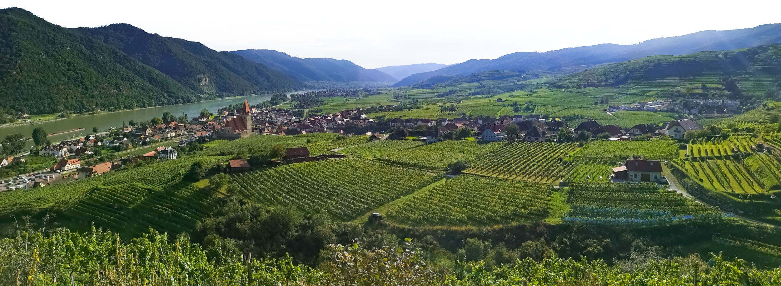 Weissenkirchen surrounded by vineyards in Wachau, Lower Austria