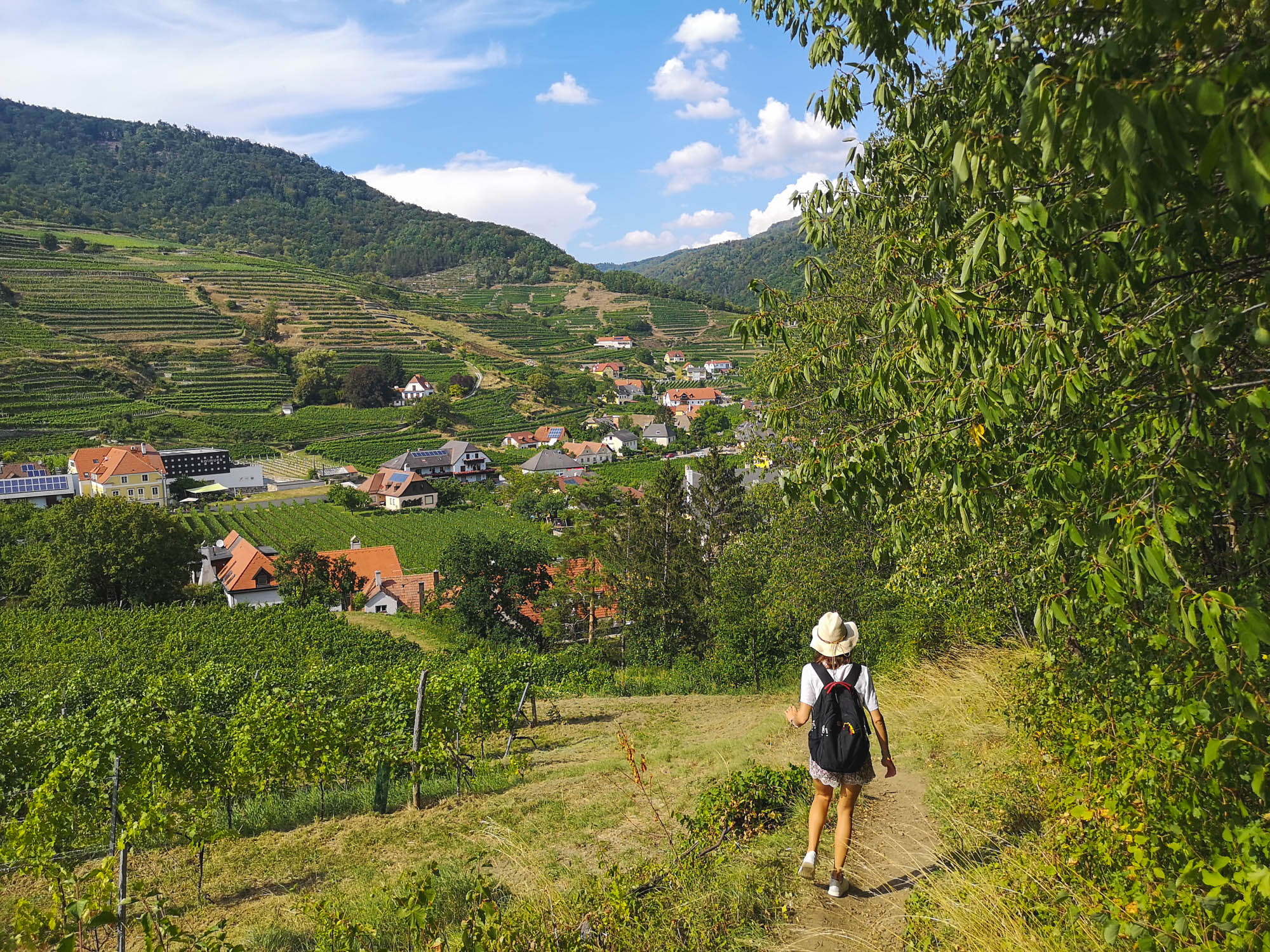 Wine hiking in Wachau Valley, Austria