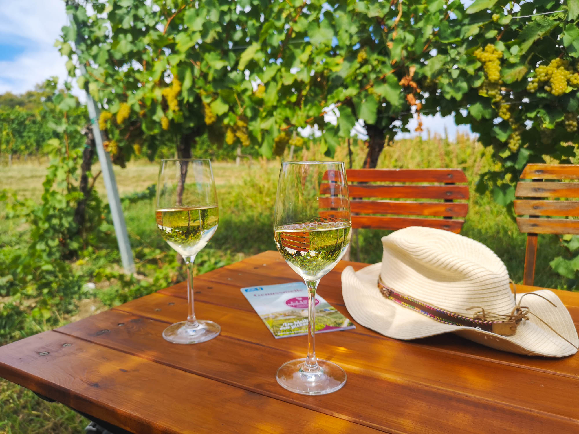 Two glasses of white wine in the vineyards of Thermeregion, Lower Austria