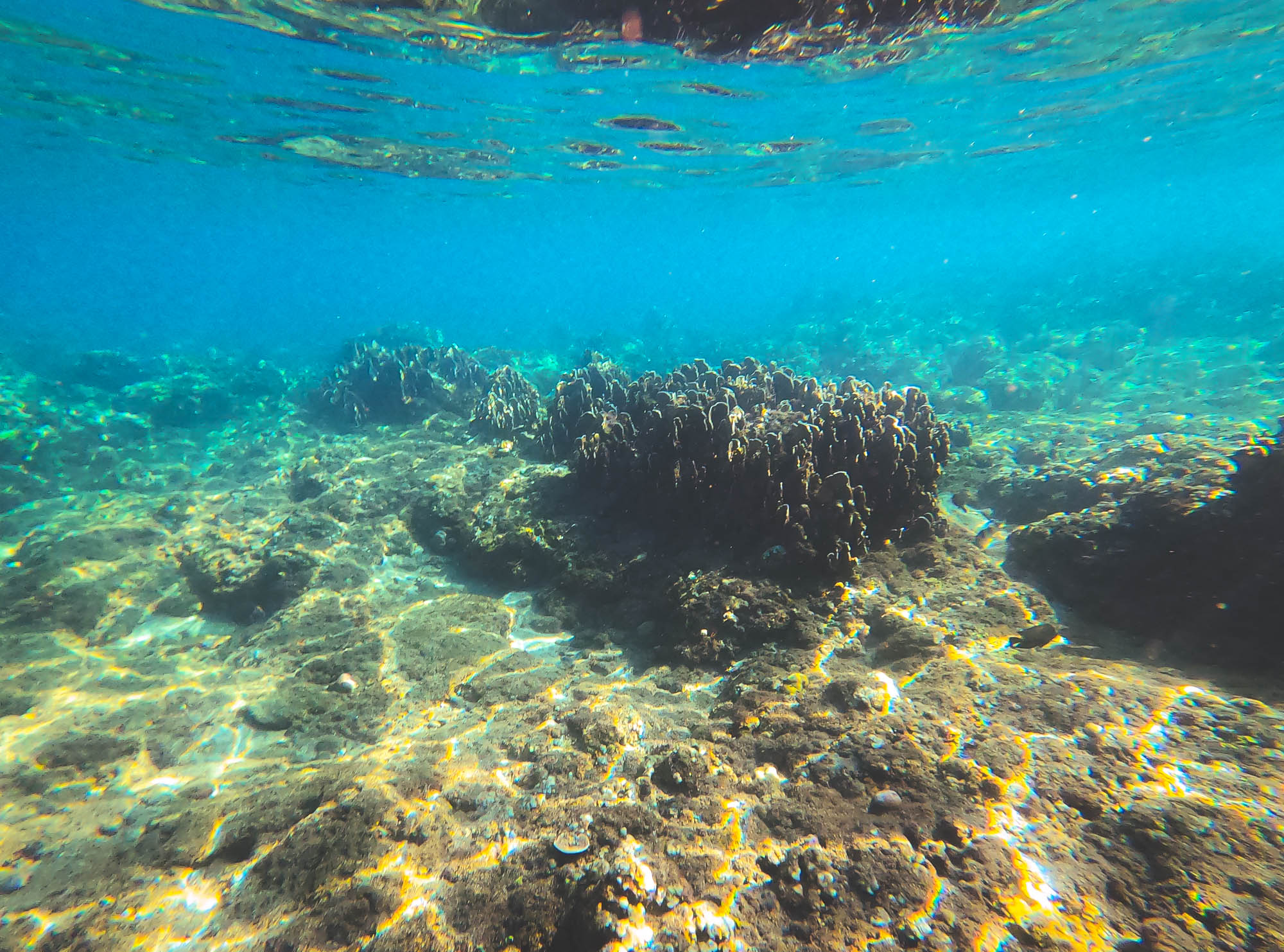 Underwater in Amed beach, Bali